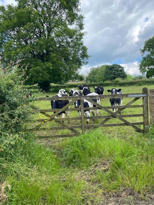 Luxury Detached Peak District Stone Barn - Dog Friendly Villa Hazelwood Kültér fotó